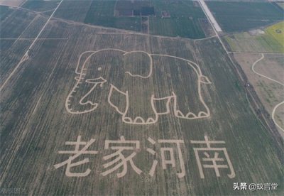 ​写给那些地域黑们，这样的河南你们还黑得起来吗？