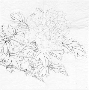 ​高清工笔牡丹白描 158幅（下）喜欢的收藏关注