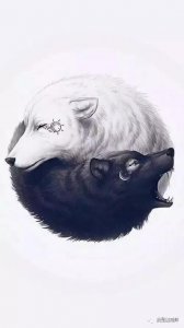 ​素描雕刻狼素材图库