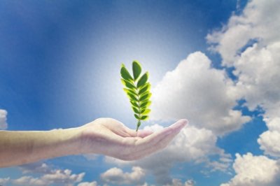 ​属兔人明天战无不胜攻无不克