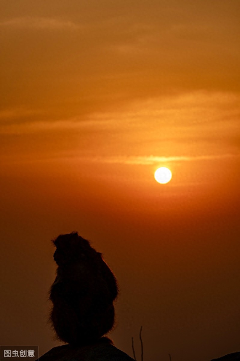 江苏连云港花果山