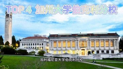 ​世界排名前十的高校，你知道几个呢#大学排名