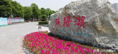 ​咸阳湖！渭河穿城而过的中心旅游景区，风景很美还免费