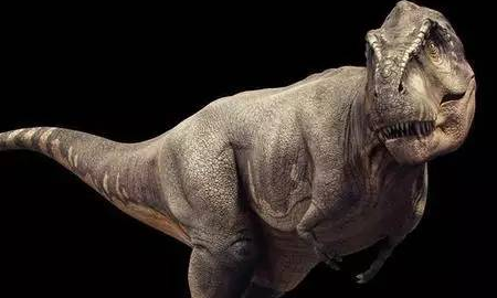 spinosaurus是什么恐龙,十大最强恐龙排名图11