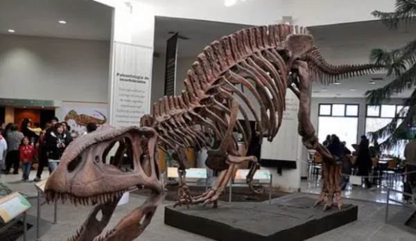 spinosaurus是什么恐龙,十大最强恐龙排名图9