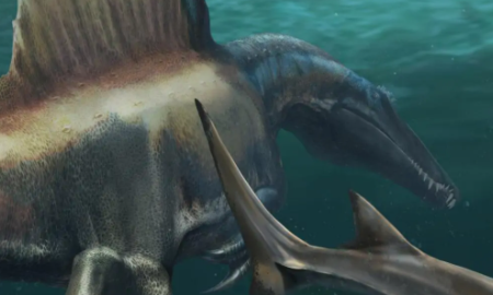 spinosaurus是什么恐龙,十大最强恐龙排名图13