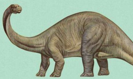 spinosaurus是什么恐龙,十大最强恐龙排名图15