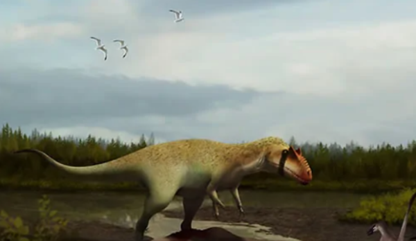 spinosaurus是什么恐龙,十大最强恐龙排名图10