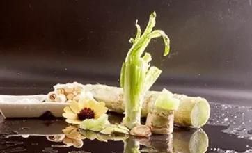 夏天解暑喝冷饮还是热饮，在炎热的夏天，冷饮和热饮哪一种更解暑？有何依据？图9