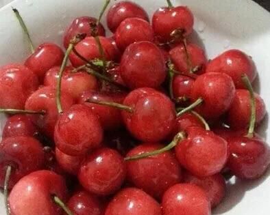 夏天解暑喝冷饮还是热饮，在炎热的夏天，冷饮和热饮哪一种更解暑？有何依据？图7