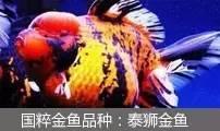 过滤滤材的正确使用方法(介绍5种常见过滤方式以及10种常见滤材)(25)