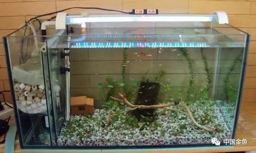 过滤滤材的正确使用方法(介绍5种常见过滤方式以及10种常见滤材)(6)