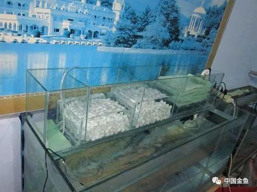 过滤滤材的正确使用方法(介绍5种常见过滤方式以及10种常见滤材)(5)