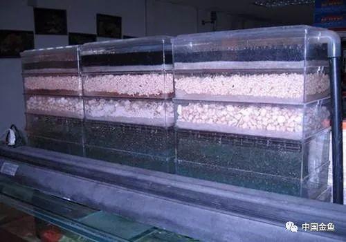 过滤滤材的正确使用方法(介绍5种常见过滤方式以及10种常见滤材)(7)