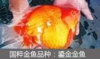 过滤滤材的正确使用方法(介绍5种常见过滤方式以及10种常见滤材)(27)