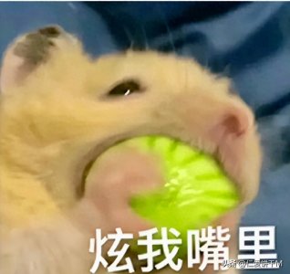 ​14本高质量超好看的黑道文，巨上头！