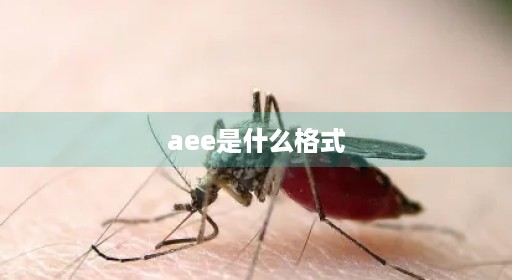 aee是什么格式