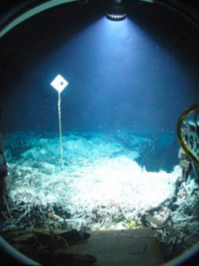 ​海底黑烟囱(海底黑烟囱冒出的黑色液体被称为)