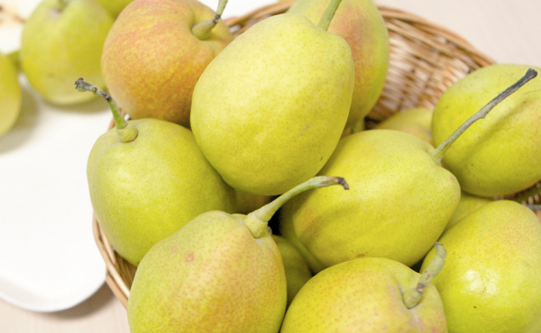 新疆特产有哪些,新疆特产干果必买清单图7