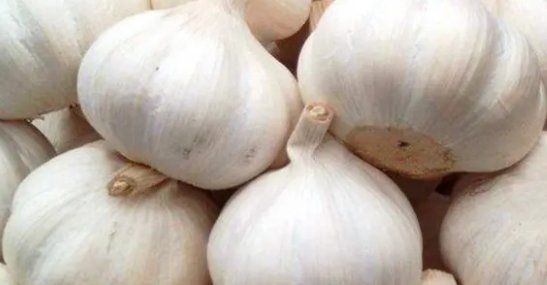 山东特产有哪些特产,山东十大特产排名图4