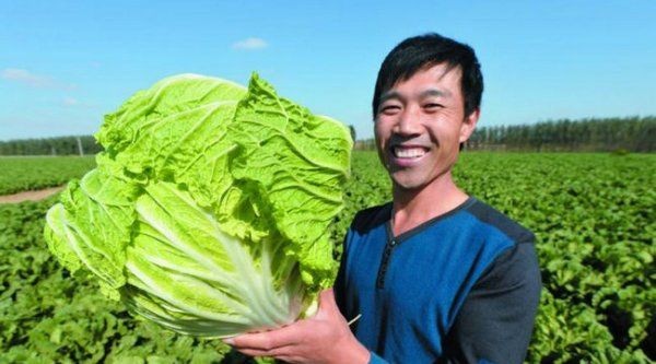 山东特产有哪些特产,山东十大特产排名图8