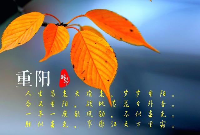 民间的民俗有哪些（我国11个传统民俗知识）(3)