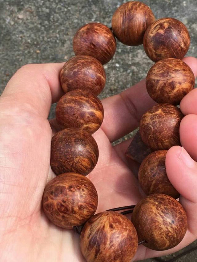 崖柏手串怎么盘又快又亮（崖柏手串如何正确盘玩你知多少）(24)