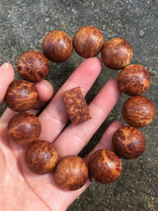 崖柏手串怎么盘又快又亮（崖柏手串如何正确盘玩你知多少）(27)