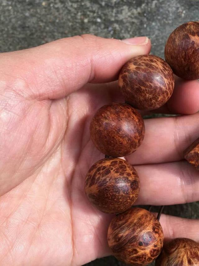 崖柏手串怎么盘又快又亮（崖柏手串如何正确盘玩你知多少）(25)