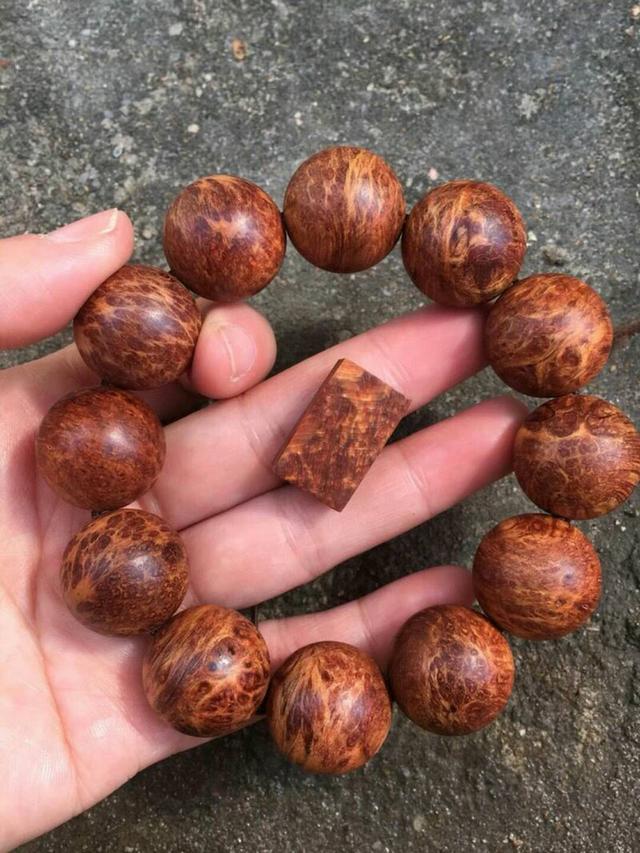 崖柏手串怎么盘又快又亮（崖柏手串如何正确盘玩你知多少）(19)