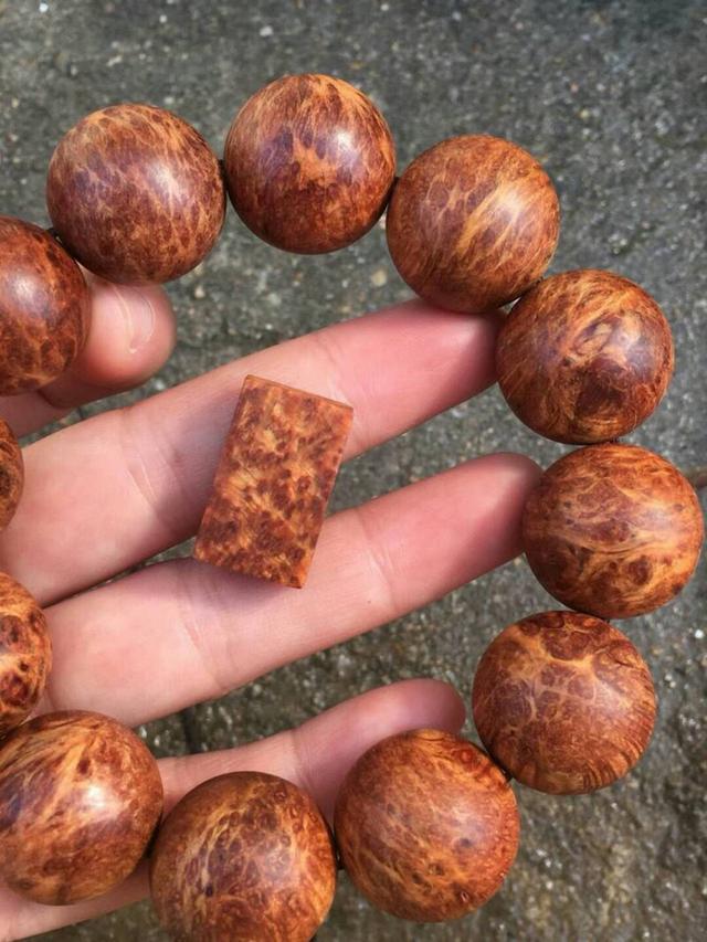 崖柏手串怎么盘又快又亮（崖柏手串如何正确盘玩你知多少）(26)