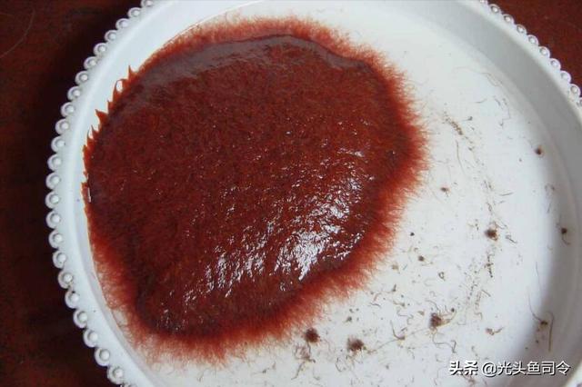 如何治理鱼类寄生虫（鱼类身上常见的6种寄生虫）(2)