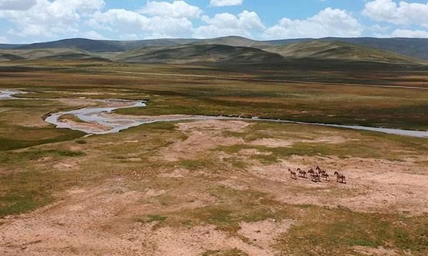 三江源指的是哪三江,三江源指的是哪三江?图12