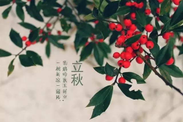 伏天是如何计算出来的（伏天的正确算法）(8)