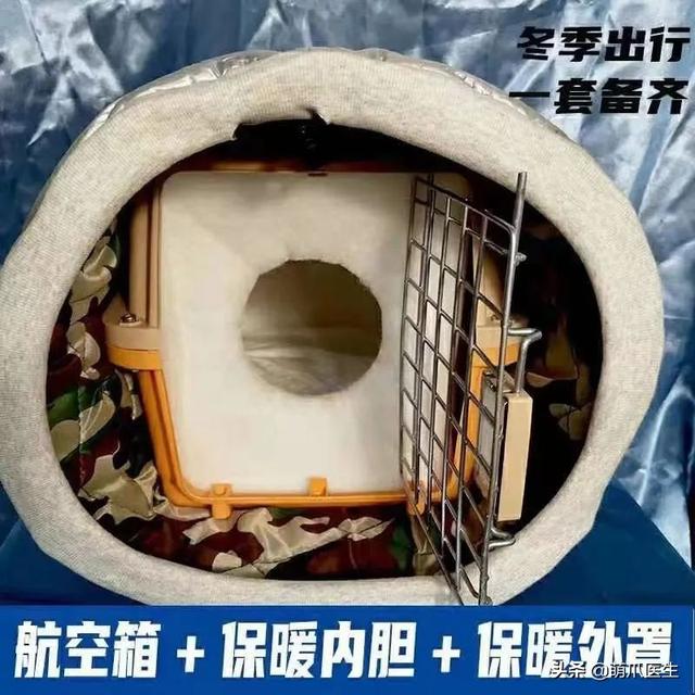 托运猫的正确方法图解（托运送猫上不归路）(11)