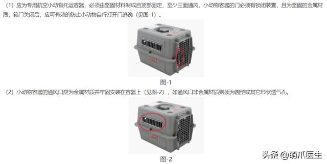 托运猫的正确方法图解（托运送猫上不归路）(9)