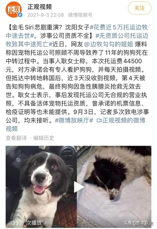 托运猫的正确方法图解（托运送猫上不归路）(2)