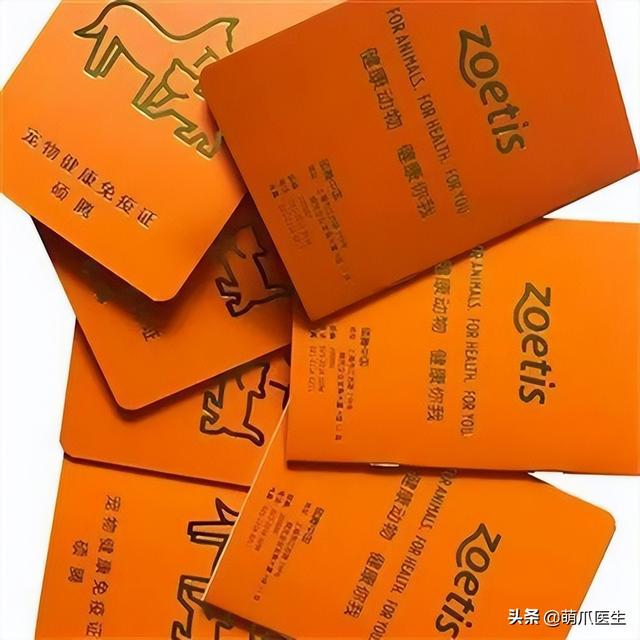 托运猫的正确方法图解（托运送猫上不归路）(8)