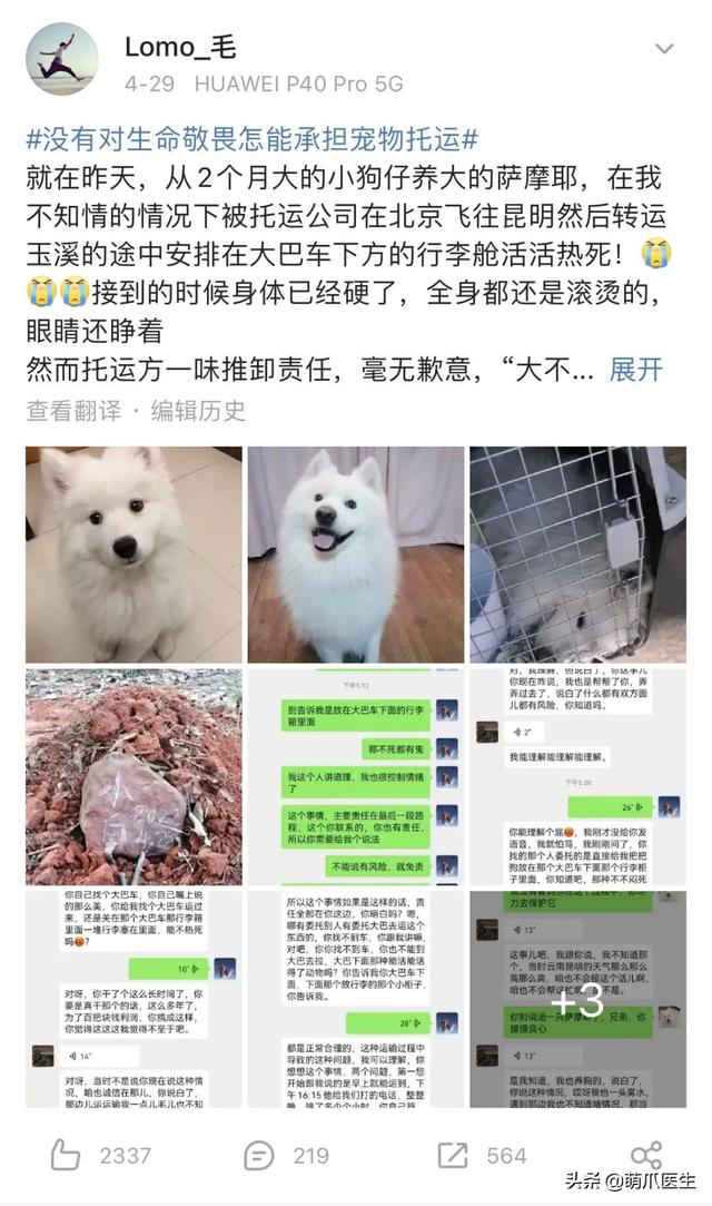 托运猫的正确方法图解（托运送猫上不归路）(3)