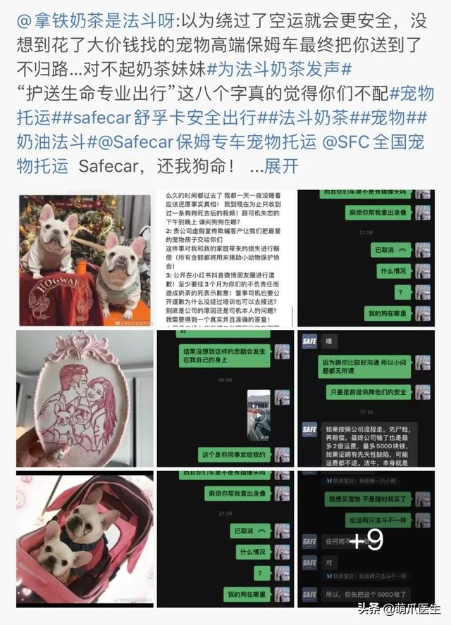 托运猫的正确方法图解（托运送猫上不归路）(4)