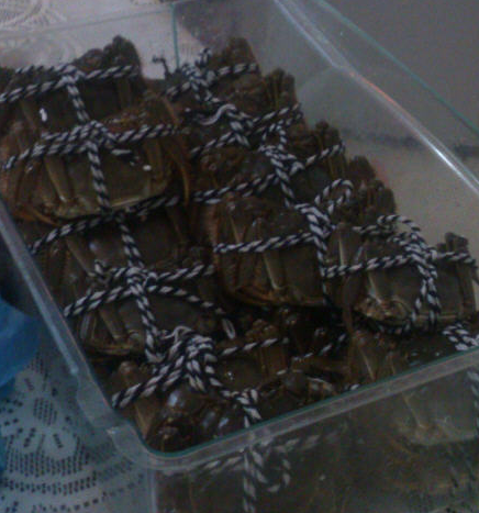 怎么养螃蟹活的时间长,家里怎么养螃蟹吃什么图1