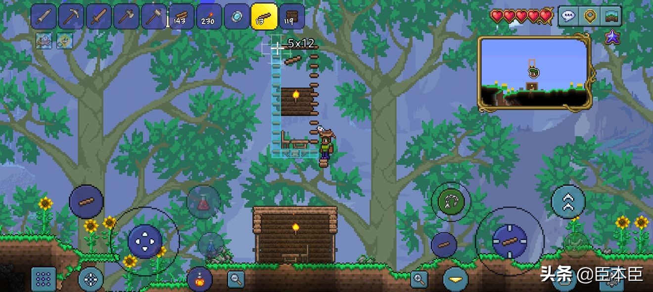 泰拉瑞亚夜光蘑菇孢子怎么获得(丛林孢子获得方法)