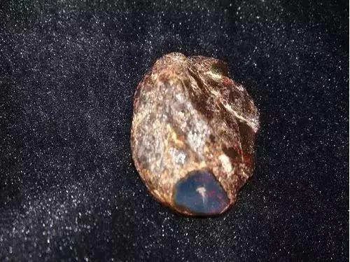 假的蓝珀是什么样子的?