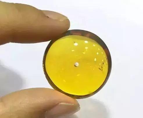 假的蓝珀是什么样子的?