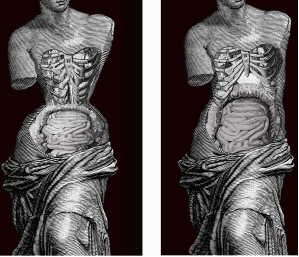 胸罩是谁发明的(为什么要发明胸罩)