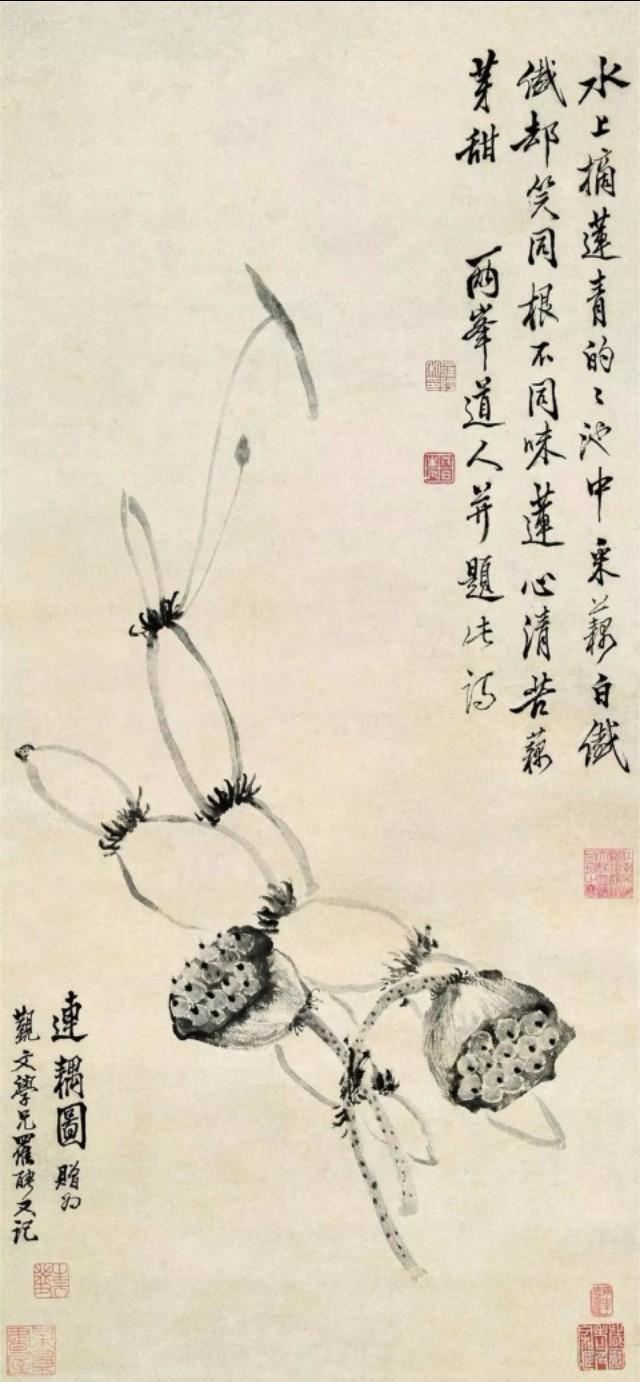 南瓜寓意是什么（盘点国画里的瓜果蔬菜美好寓意）