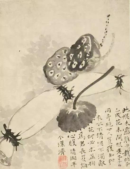 南瓜寓意是什么（盘点国画里的瓜果蔬菜美好寓意）