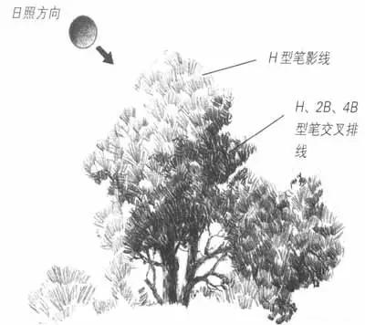 简单好画的风景速写 初学者(风景速写不会画)(3)