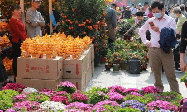 广州花卉批发市场在哪里,附近花卉市场批发市场在哪里图2