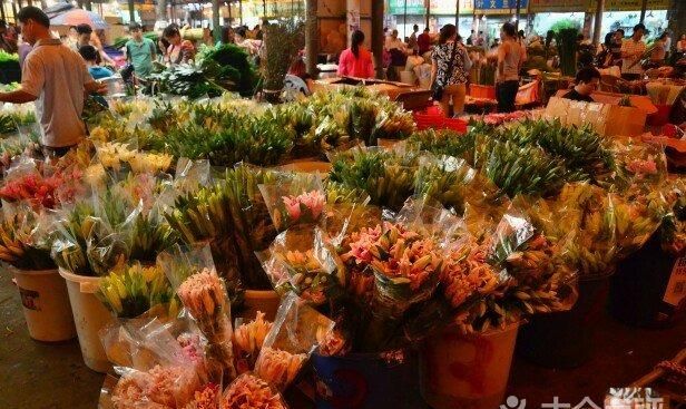 南京最大的花卉批发市场在哪里